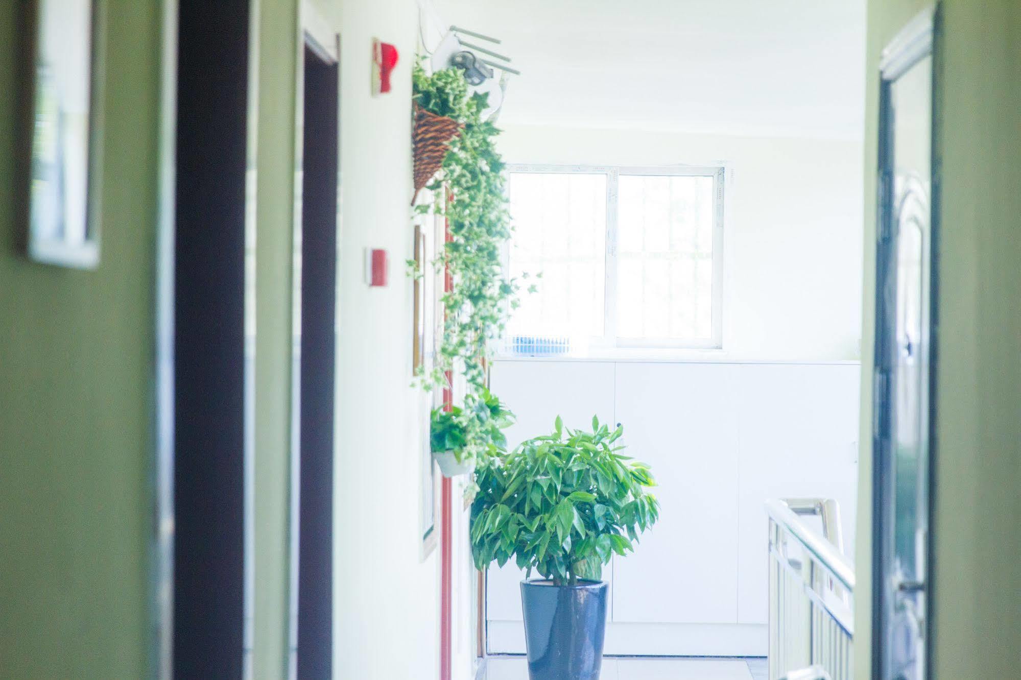 Beijing Alley International Youth Hostel 外观 照片